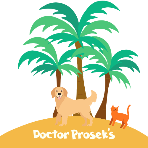 Doctor Prosek's